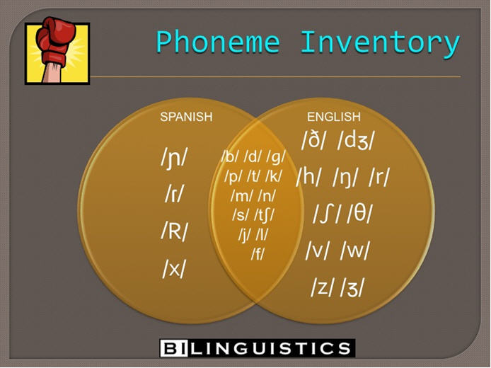 addressing-phonotactic-constraints-bridging-the-spanish-esl-gap